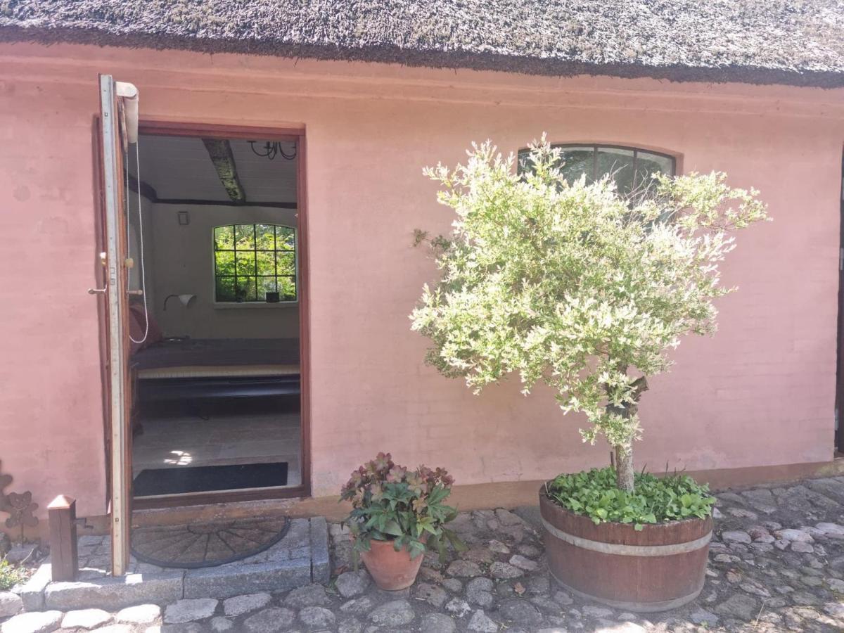 Liebhaveri I Saerklasse Årup Екстериор снимка